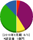 小澤工業所 貸借対照表 2010年9月期