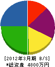 ワシノ電気 貸借対照表 2012年3月期