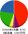 中井塗装店 貸借対照表 2008年6月期