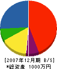 タキデン 貸借対照表 2007年12月期