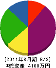 井川設備 貸借対照表 2011年6月期