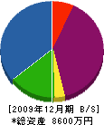 橋口石彫工業 貸借対照表 2009年12月期