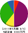 小川工業 貸借対照表 2011年5月期