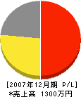 鬼沢電機商会 損益計算書 2007年12月期