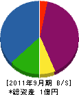 大泉 貸借対照表 2011年9月期