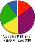 川本建設 貸借対照表 2010年9月期