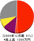 桜町関たたみ店 損益計算書 2009年12月期
