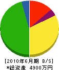 岩井土建 貸借対照表 2010年6月期