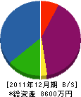 橋口石彫工業 貸借対照表 2011年12月期