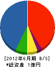 加茂水道 貸借対照表 2012年6月期
