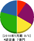 長谷川興産 貸借対照表 2010年5月期