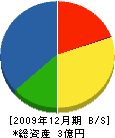 宮澤工務店 貸借対照表 2009年12月期
