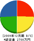 阪本建工 貸借対照表 2009年12月期