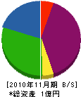 阪南メンテナンス 貸借対照表 2010年11月期
