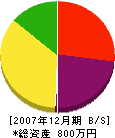 田子建設 貸借対照表 2007年12月期