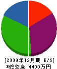 アライ 貸借対照表 2009年12月期