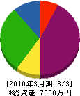 松橋塗装工業 貸借対照表 2010年3月期