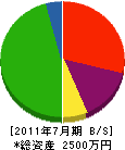 片平工務店 貸借対照表 2011年7月期