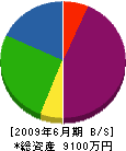 生駒工業所 貸借対照表 2009年6月期
