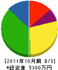 明光広芸 貸借対照表 2011年10月期