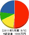 長谷川グリーン 貸借対照表 2011年5月期