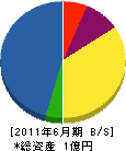 大阪安全工業 貸借対照表 2011年6月期