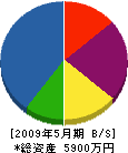 田中商店 貸借対照表 2009年5月期