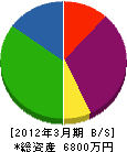 山田電気商会 貸借対照表 2012年3月期
