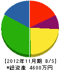 小嶋造園 貸借対照表 2012年11月期
