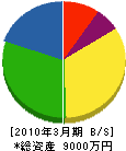 西日本設備工業 貸借対照表 2010年3月期