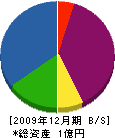セレスト 貸借対照表 2009年12月期 セレスト 貸借対照表 2009年12月期