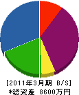 塚本電気設備 貸借対照表 2011年3月期