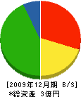 横田組 貸借対照表 2009年12月期