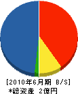 山川組 貸借対照表 2010年6月期