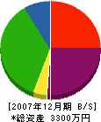山崎塗工店 貸借対照表 2007年12月期