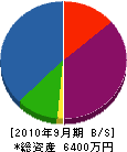 津崎建設工業 貸借対照表 2010年9月期
