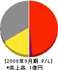 江州 損益計算書 2008年9月期