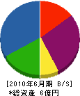 斉竹鉱建 貸借対照表 2010年6月期