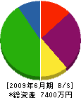 野崎工業 貸借対照表 2009年6月期