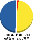 池田開発 貸借対照表 2009年9月期