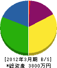 田原電機商会 貸借対照表 2012年3月期