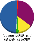 島米塗装店 貸借対照表 2008年12月期