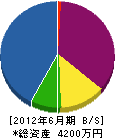阪本土建 貸借対照表 2012年6月期