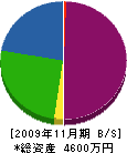 岸田建設 貸借対照表 2009年11月期