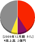 大鳳建設 損益計算書 2009年12月期