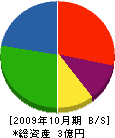 星野電業社 貸借対照表 2009年10月期