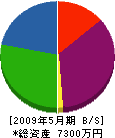 青木電気工事 貸借対照表 2009年5月期