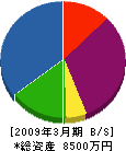 塚本電気設備 貸借対照表 2009年3月期