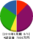 前畑建材店 貸借対照表 2010年6月期