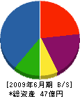 静岡シブヤ精機 貸借対照表 2009年6月期